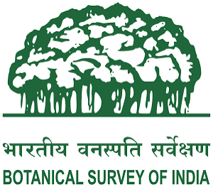 BSI Logo
